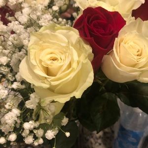 Meet your Posher, Annelie